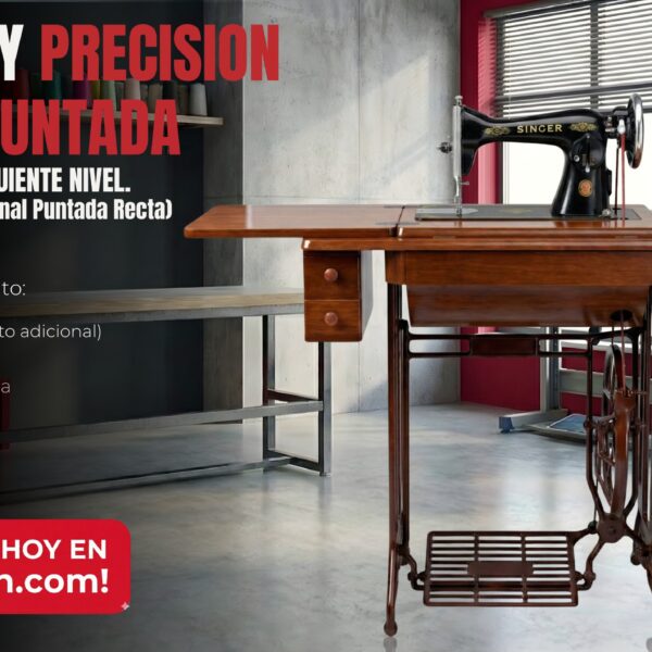 Singer 15ch “Negrita” (Tradicional Puntada Recta) con mueble